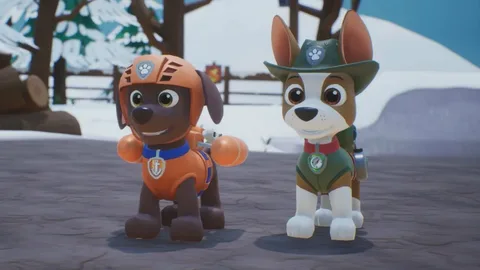 Paw Patrol World